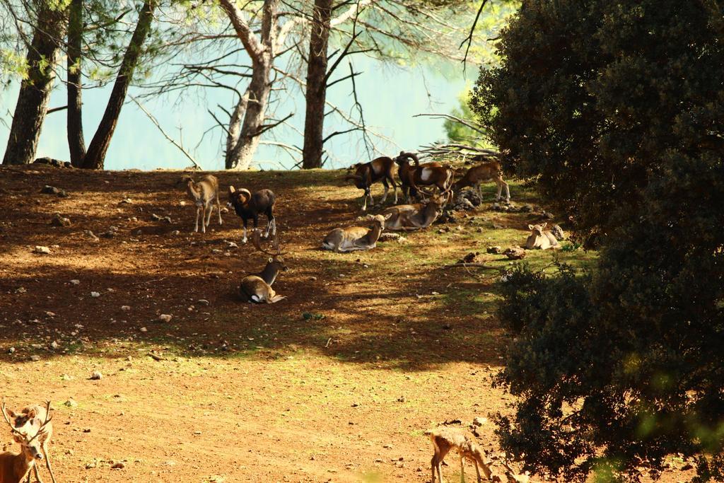 Hotel Balneario Parque De Cazorla Arroyo Frio Buitenkant foto