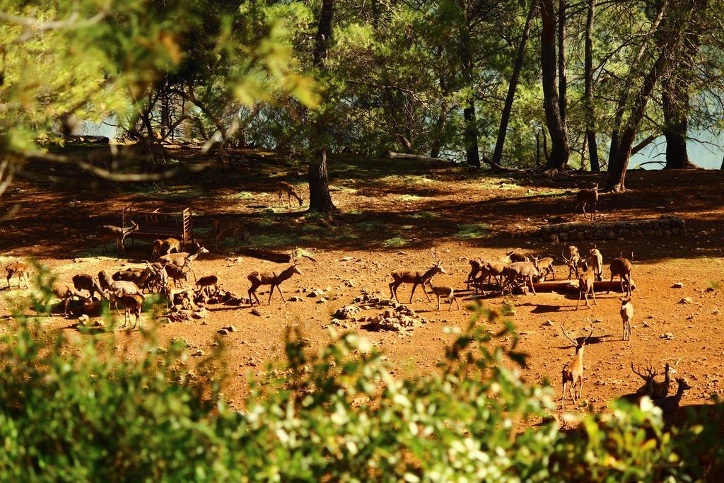 Hotel Balneario Parque De Cazorla Arroyo Frio Buitenkant foto
